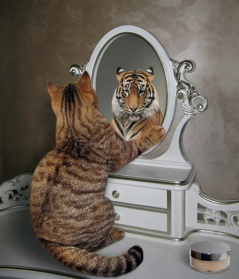 NARCISSISTIC ABUSE: PART 1 [CRUELTY, LIES, MANIPULATION AND DECEIT]